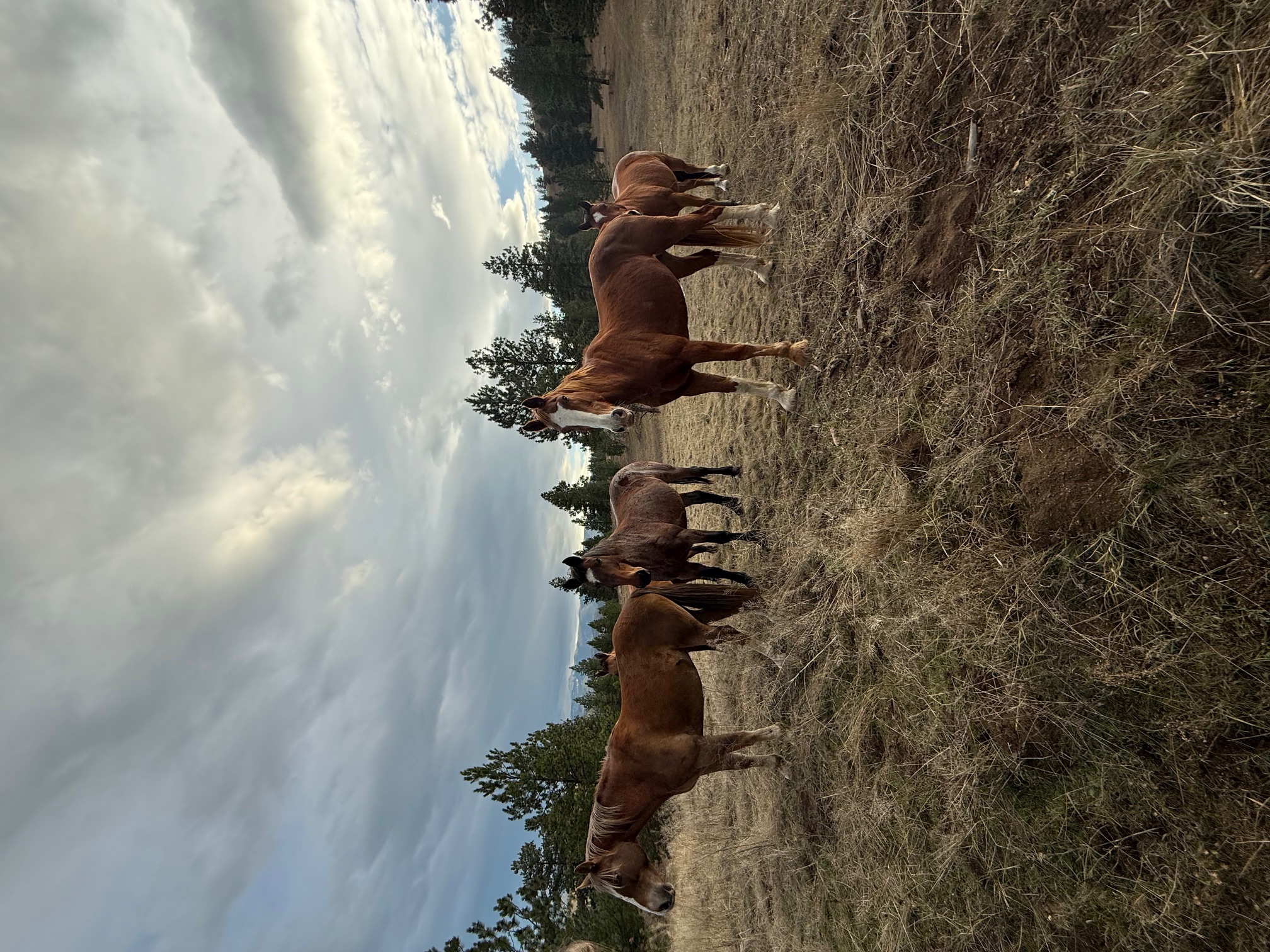 Military Chinook helicopter with soldiers loading during training at First Services Group Montana facility