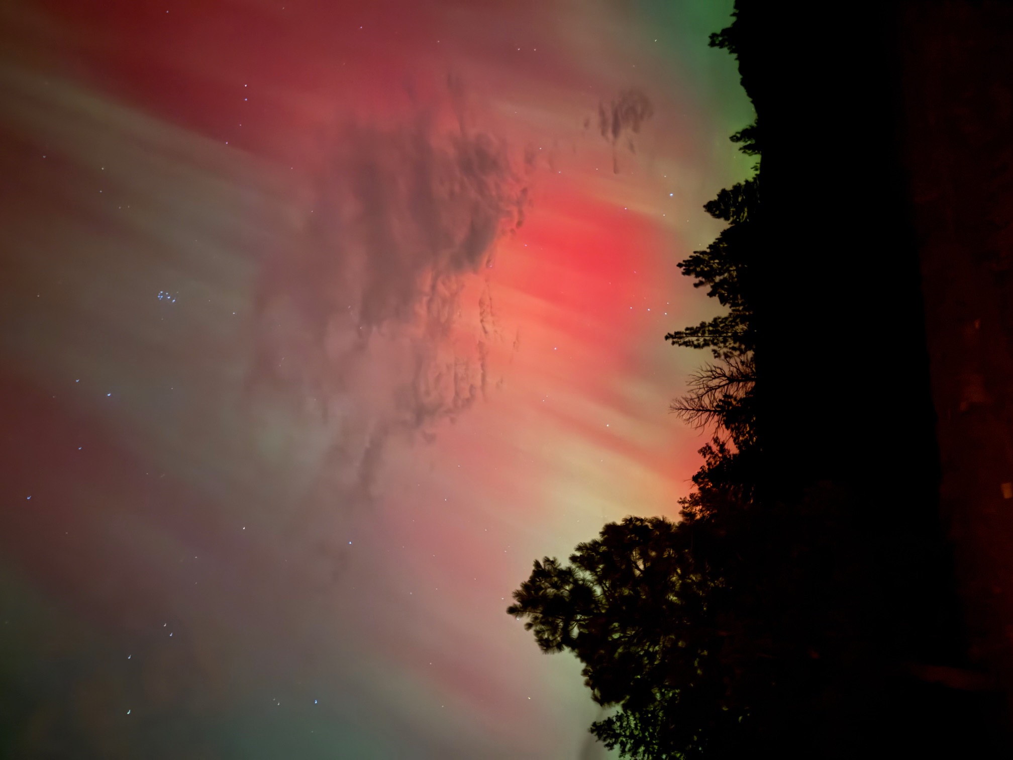 Northern lights aurora borealis in vivid red and green over Montana ranch treeline